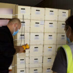 Exigen a la CE que inspeccione el mecanismo de tratamiento en frío de Sudáfrica tras detectar de nuevo falsa polilla en sus naranjas