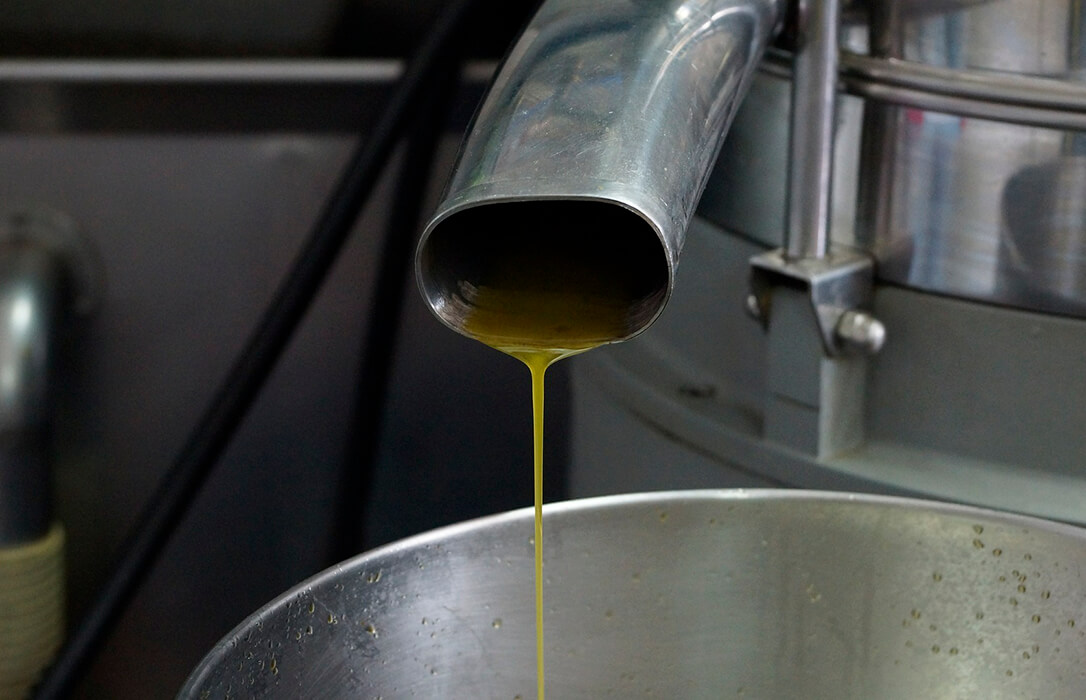 El Ministerio publica en el BOE la norma de comercialización del aceite de oliva para esta campaña aunque ningún indicador prevé su uso