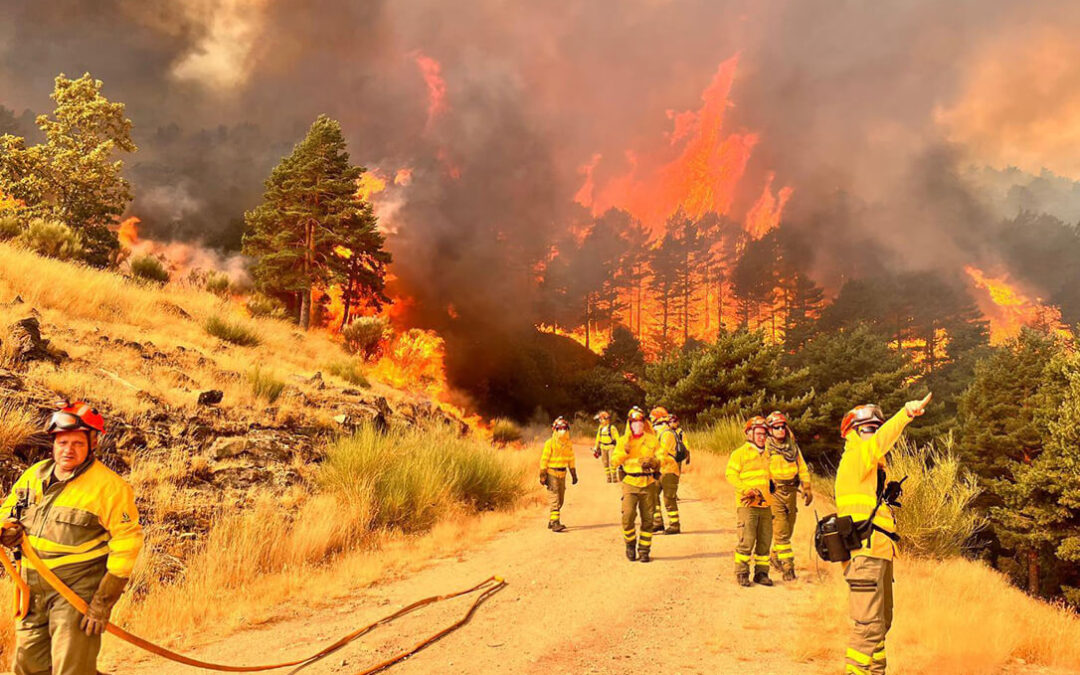 El enfado por las ayudas por los incendios se hace político: piden a la oposición que voten en contra del Decreto-ley del Gobierno extremeño