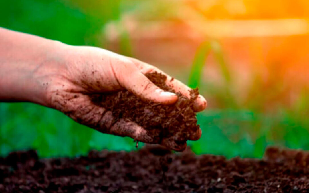 Los expertos y el propio sector agrario coinciden: sin ciencia e innovación no habrá soberanía alimentaria en Europa