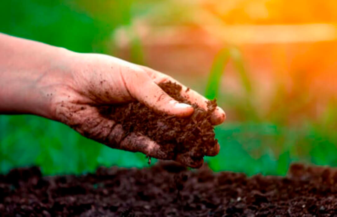 Los expertos y el propio sector agrario coinciden: sin ciencia e innovación no habrá soberanía alimentaria en Europa