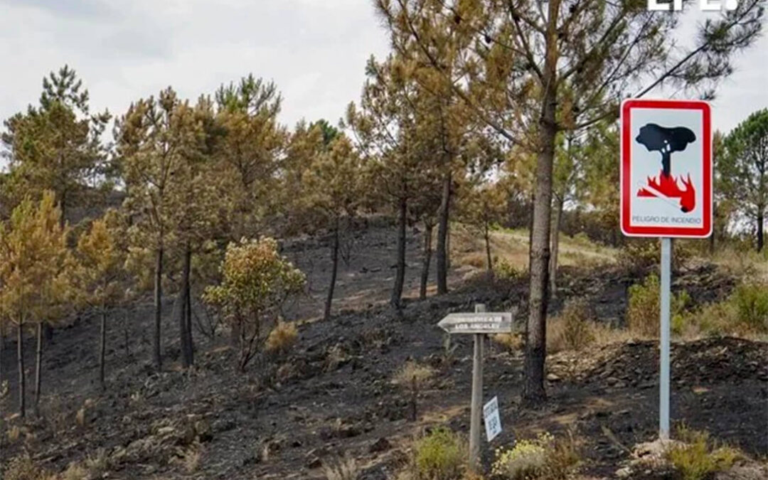 Consideran como una injusticia del Gobierno central con Extremadura las ayudas aprobadas por los grandes incendios forestales