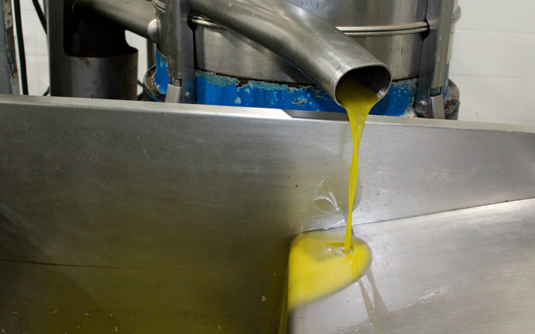 España pide a EEUU incluir al aceite oliva en los productos exentos de aranceles mientras Planas cruza los dedos para firmar con Mercosur cuanto antes