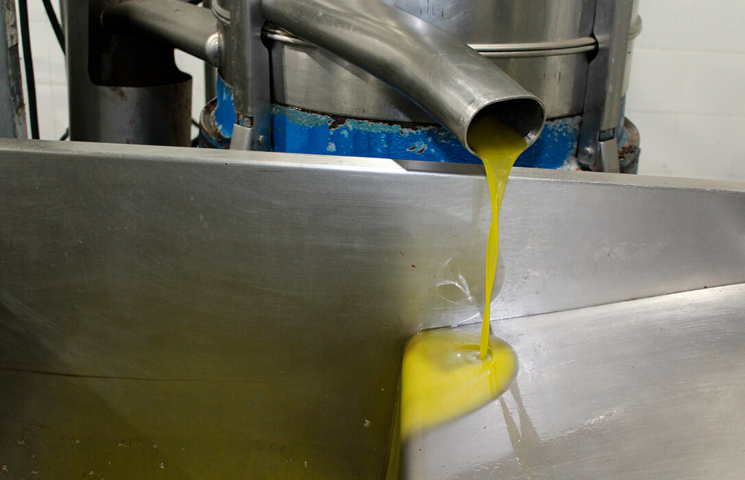 España pide a EEUU incluir al aceite oliva en los productos exentos de aranceles mientras Planas cruza los dedos para firmar con Mercosur cuanto antes