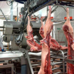 Spain and China strengthen their collaboration with the signing of three new protocols that particularly benefit the pork and fishing sectors