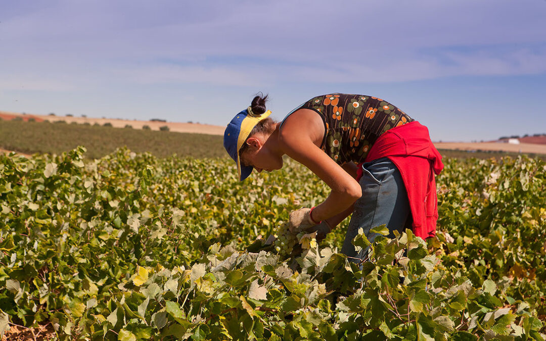 Afammer pide en el Senado una respuesta firme ante las desigualdades de la mujer rural: “No pedimos privilegios, pedimos futuro”