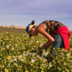 Afammer fordert im Senat eine entschiedene Reaktion auf die Ungleichheiten, denen Frauen auf dem Land ausgesetzt sind: “Wir bitten nicht um Privilegien, wir bitten um eine Zukunft.”