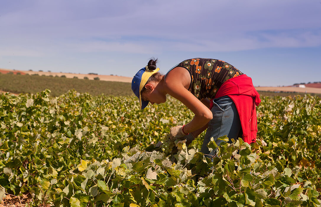 Afammer pide en el Senado una respuesta firme ante las desigualdades de la mujer rural: “No pedimos privilegios, pedimos futuro”