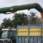 El estudio de costes de cereales como trigo y cebada dejan patente la cruda realidad: el agricultor solo gana con la PAC y una cantidad insuficiente