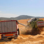 Caída de precios, subida de costes, crisis del sector: reclaman activar la reserva de crisis de la PAC ante la situación del mercado cerealista