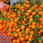 Proponen a la Comisión Europea un arancel del 15% para las mandarinas y pequeños cítricos de Sudáfrica ante la competencia creciente