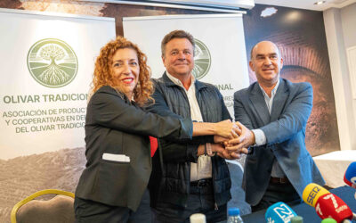 Nace la Asociación de Olivar Tradicional para defender un modelo social, medioambiental y económico único y por la diferenciación vía precio