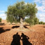 Amfar desarrolla un programa de igualdad en el ámbito rural de Castilla-La Mancha para atajar las desigualdades que sufren las mujeres rurales