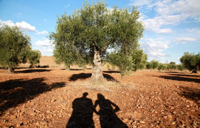 Amfar desarrolla un programa de igualdad en el ámbito rural de Castilla-La Mancha para atajar las desigualdades que sufren las mujeres rurales