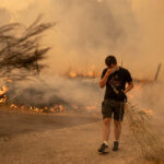 El Gobierno pagará 27,8 millones a 9.000 agricultores y ganaderos afectados por los grandes incendios del verano y CyL ayudas a los apicultores