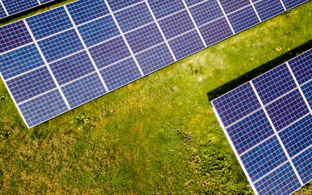 La empresa promotora de los proyectos fotovoltaicos denunciará la campaña de desinformación impulsada por SOS Rural y Ecología y Libertad