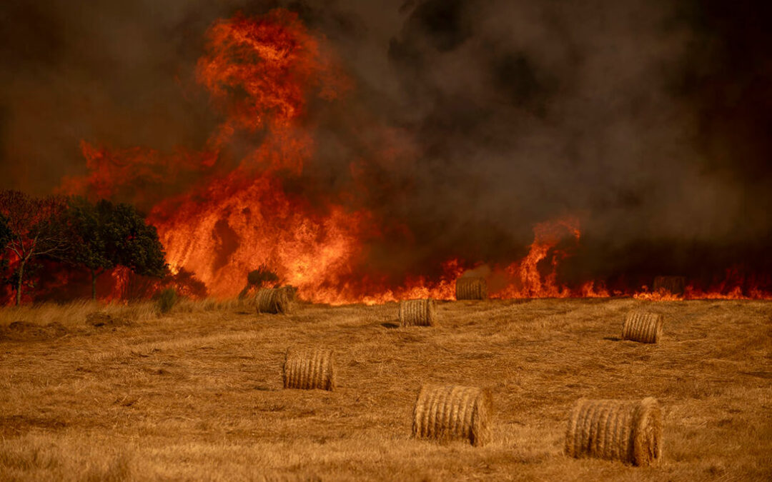 Condenan a un agricultor que aceptó su culpa por haber provocado un incendio agrícola al cosechar en un momento de alerta máxima