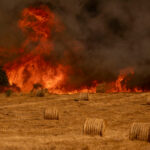 Condenan a un agricultor que aceptó su culpa por haber provocado un incendio agrícola al cosechar en un momento de alerta máxima