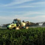 La Justicia de la UE da la razón a los ecologistas contra la prórroga automática a fitosanitarios como el boscalid, la dimoxistrobina y el glifosato