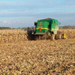 Continúa la tendencia alcista de los cereales en León, aunque lejos de las pretensiones de los productores, impulsada por las retenciones y el dólar, y la patata por lo suelos