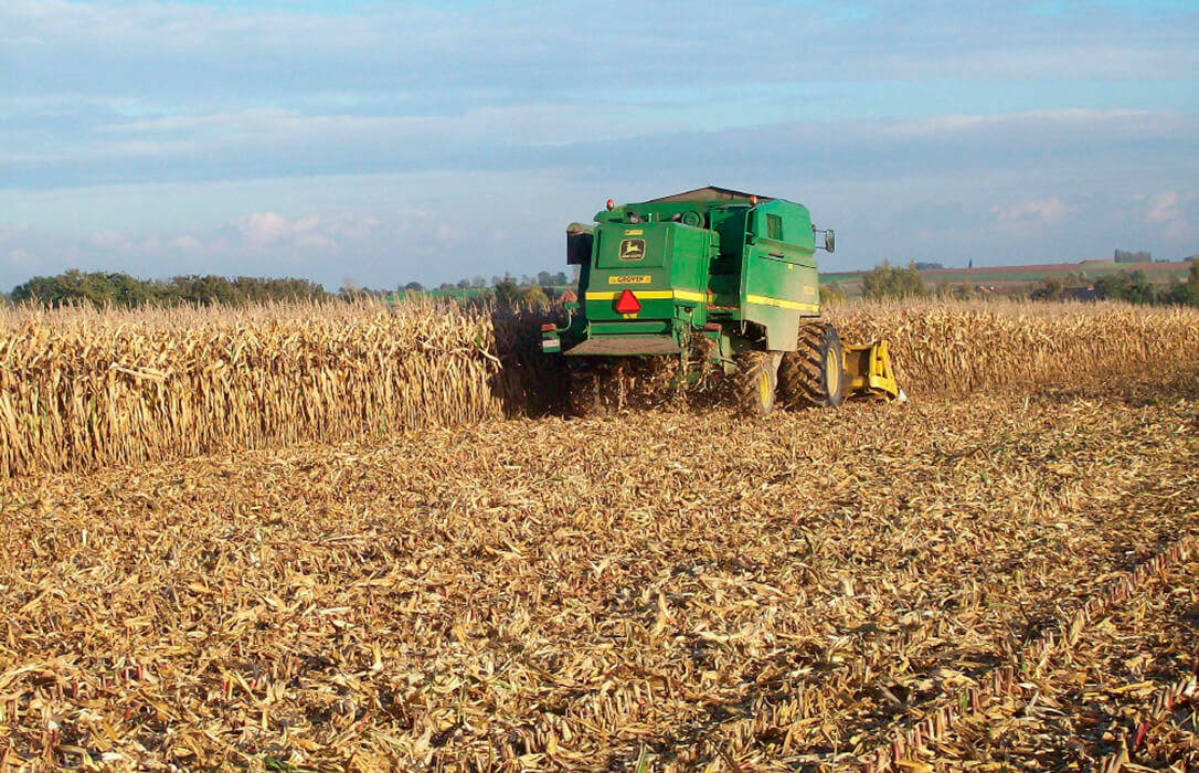 Continúa la tendencia alcista de los cereales en León, aunque lejos de las pretensiones de los productores, impulsada por las retenciones y el dólar, y la patata por lo suelos