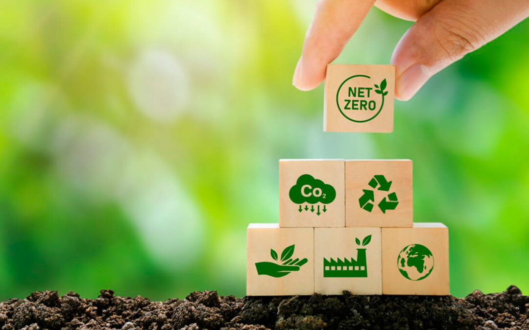 Desde España a la COP30: el suelo el eslabón perdido en los debates climáticos