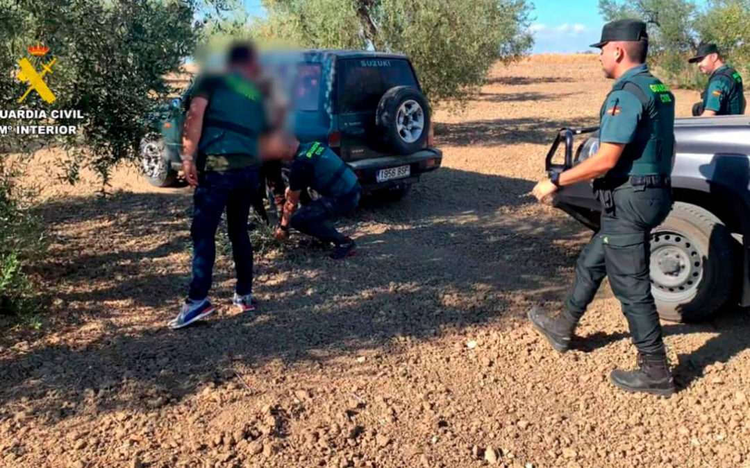 Dos detenidos por el robo de casi tres toneladas de aceitunas en distintas explotaciones agrícolas de la provincia de Sevilla