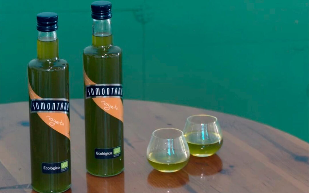 La UE registra la nueva Denominación de Origen Protegida Aceite de Somontano para la zona de tránsito entre el Pirineo central y el valle del Ebro