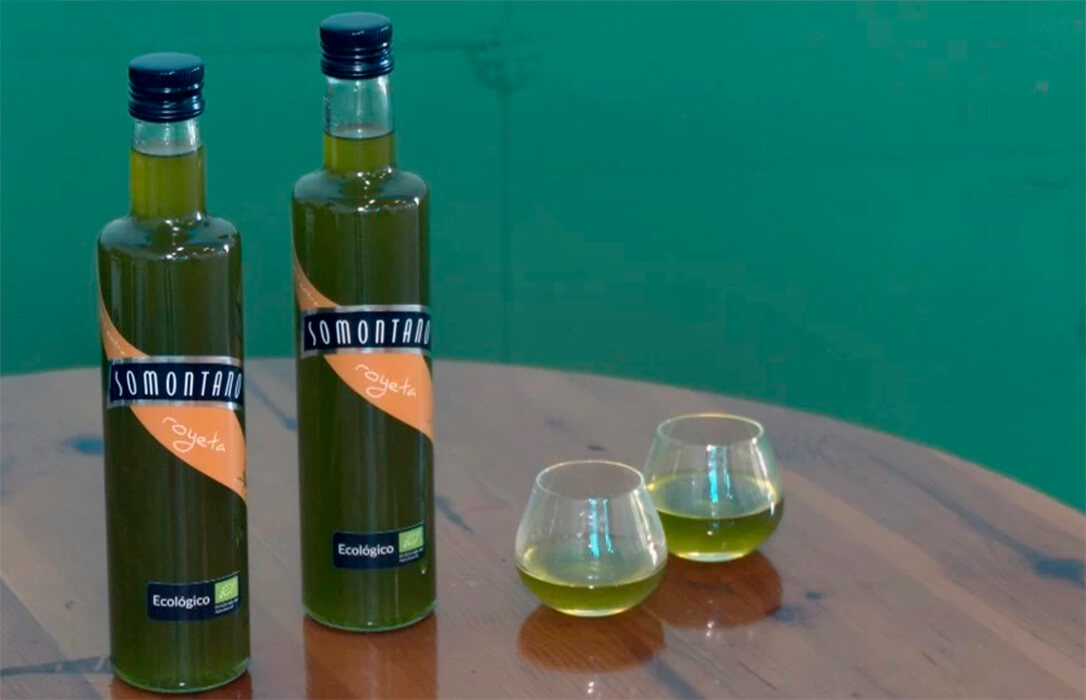 La UE registra la nueva Denominación de Origen Protegida Aceite de Somontano para la zona de tránsito entre el Pirineo central y el valle del Ebro