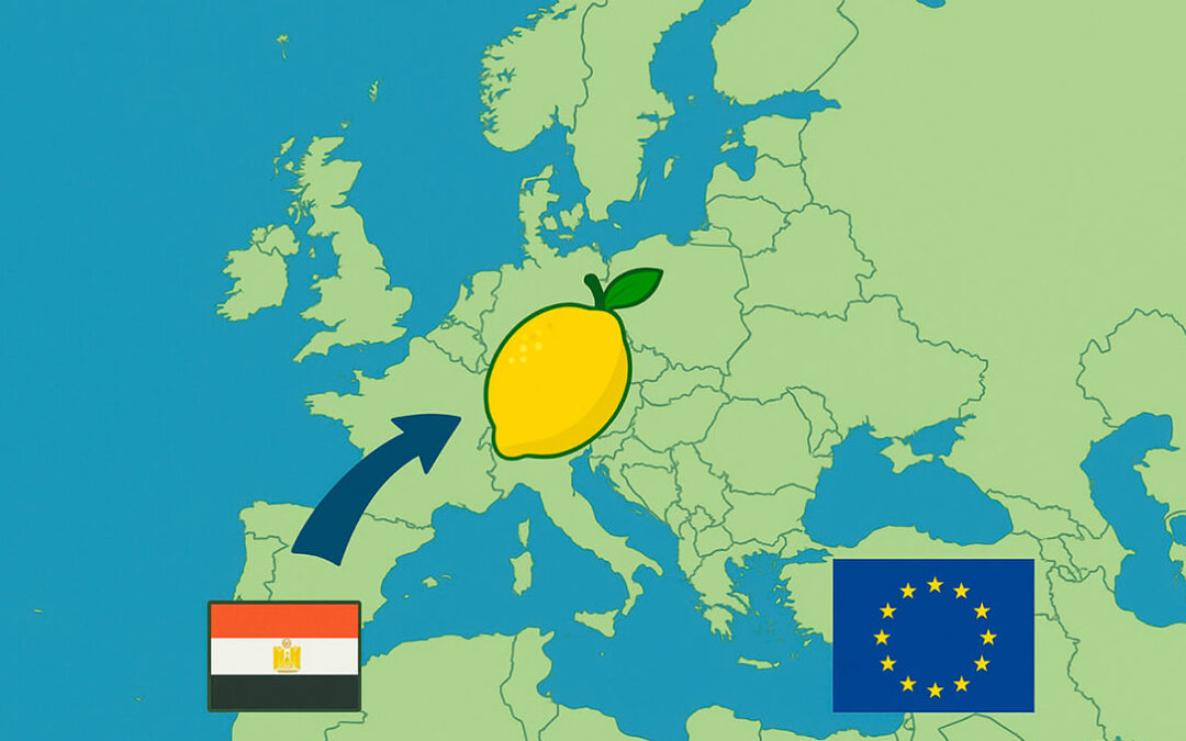 Denuncian que Egipto se está convirtiendo en una gran amenaza para el sector hortofrutícola español dentro del mercado europeo