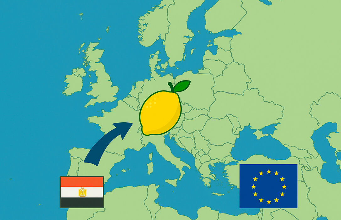 Denuncian que Egipto se está convirtiendo en una gran amenaza para el sector hortofrutícola español dentro del mercado europeo