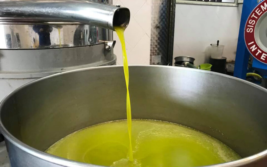 Alertan sobre la presencia de “aceite fantasma tunecino” en el mercado europeo y exige suspender el contingente preferencial por falta de transparencia