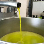 Alertan sobre la presencia de “aceite fantasma tunecino” en el mercado europeo y exige suspender el contingente preferencial por falta de transparencia