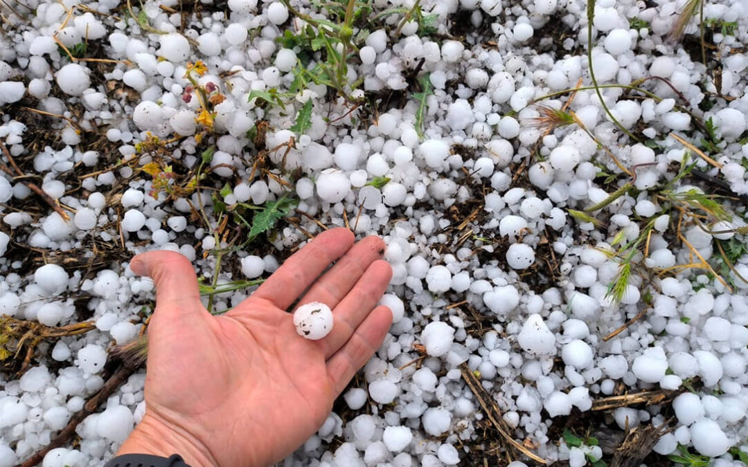 Agroseguro supera por primera vez el millón de hectáreas declaradas con siniestro a causa de las tormentas de pedrisco, lluvia torrencial y viento