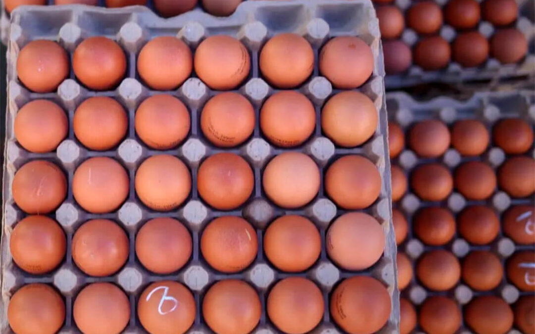 El precio del huevo sigue disparado y ya se ha incrementado un 22,5% anual tras subir el 5,1% solo en el mes de octubre