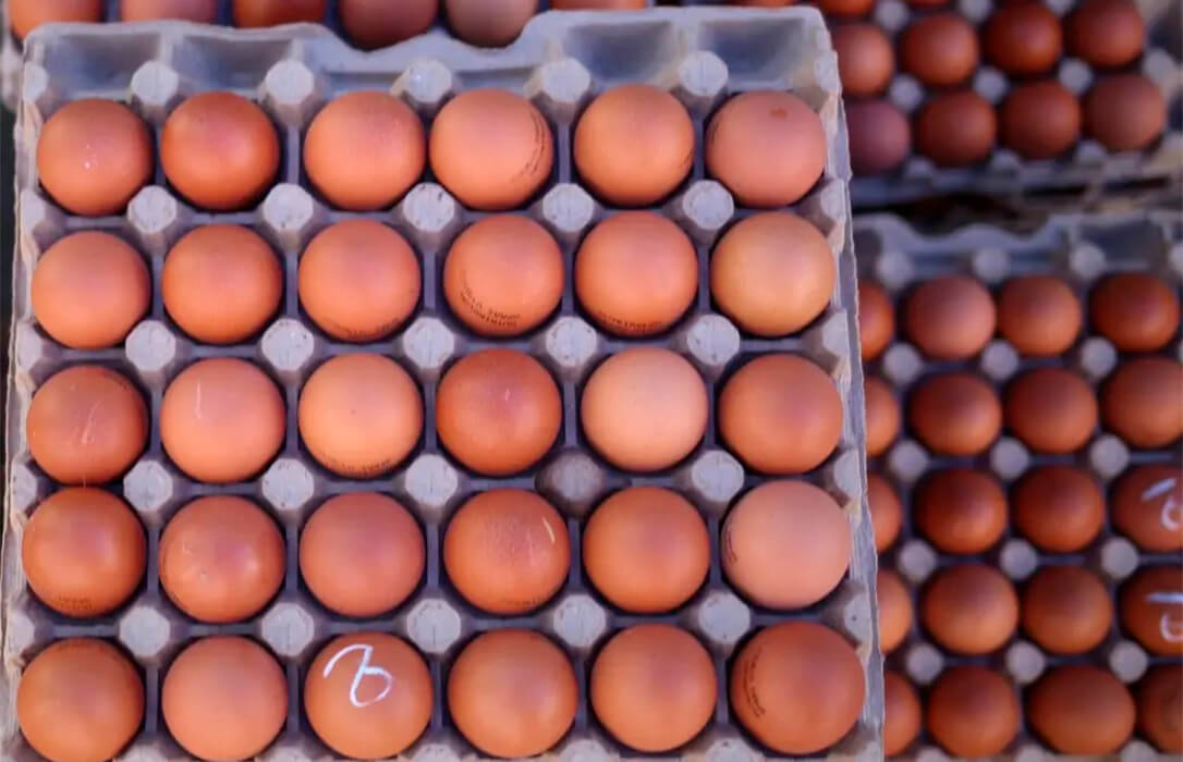 El precio del huevo sigue disparado y ya se ha incrementado un 22,5% anual tras subir el 5,1% solo en el mes de octubre