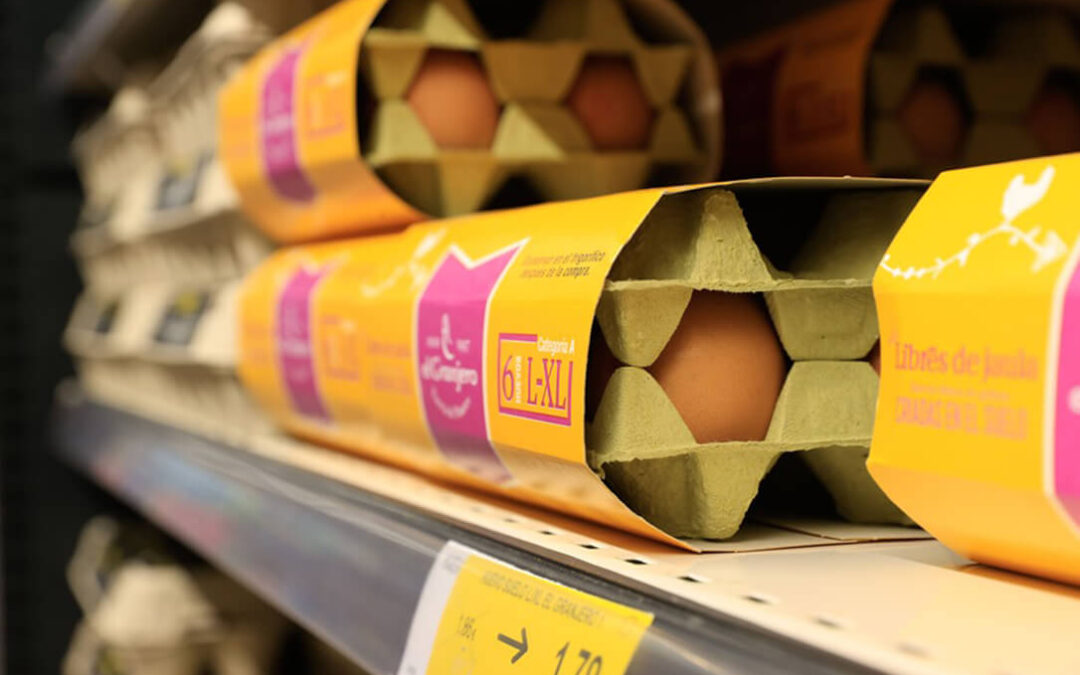 La subida del precio del huevo en España triplica la de la eurozona  ya se sitúa en un 18% este año y no solo por la gripe aviar