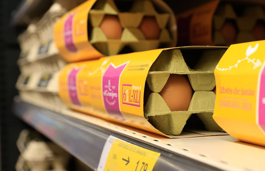 La subida del precio del huevo en España triplica la de la eurozona  ya se sitúa en un 18% este año y no solo por la gripe aviar