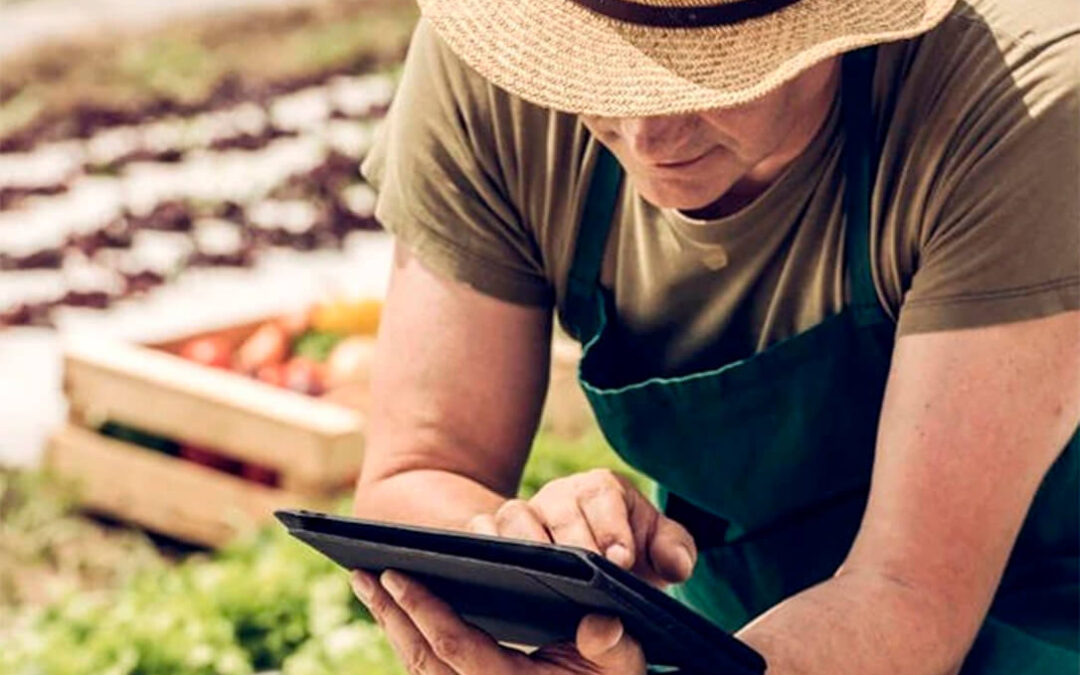 Emprendedores rurales: El mundo rural no es para desconectar, es la vida de los pueblos