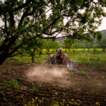 They are asking Pedro Sánchez to block a CAP that will destroy food sovereignty and the agricultural sector: “This reform must be stopped, not negotiated.”