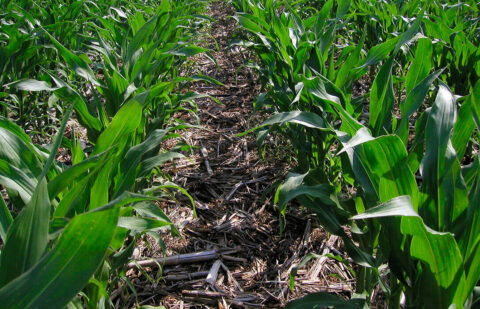 Ven inviables los objetivos climáticos que propone la UE para 2040 y 2050: carecen de una evaluación realista de cómo afectará a agricultores y ganaderos