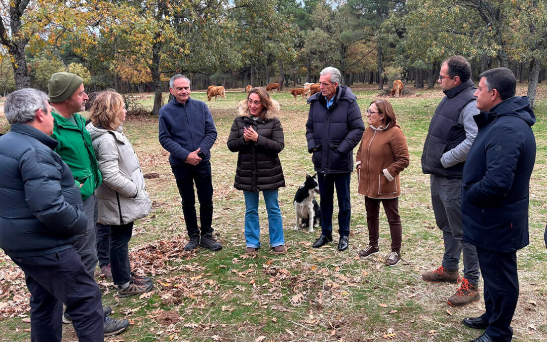 El nuevo plan de apoyo a la ganadería extensiva en CyL apuesta por la inversión en infraestructuras comunes y modernización de las explotaciones