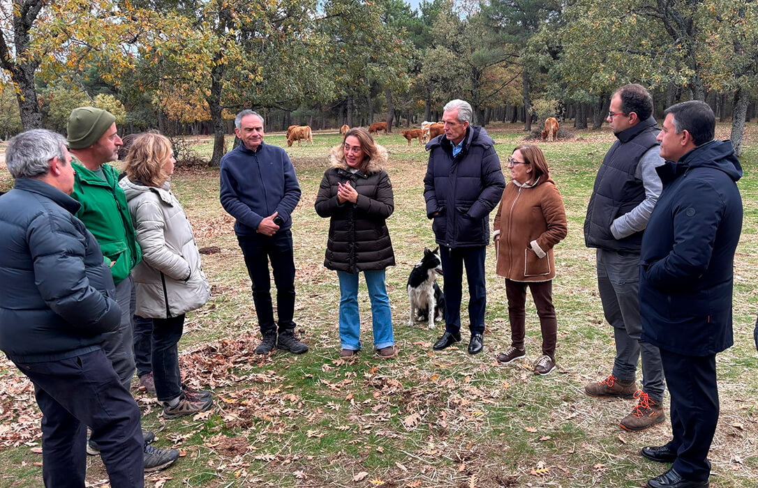 El nuevo plan de apoyo a la ganadería extensiva en CyL apuesta por la inversión en infraestructuras comunes y modernización de las explotaciones