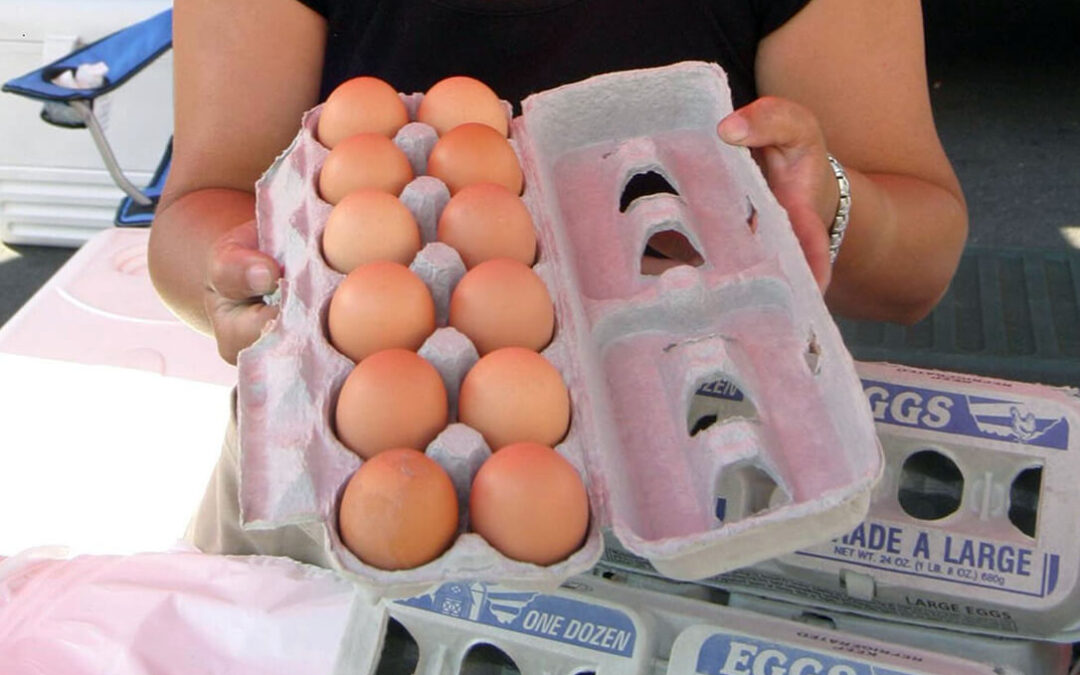 Gripe aviar: el sector llama a la tranquilidad y evitar movimientos especulativos ante la subida de precios de los huevos y la carne de pollo