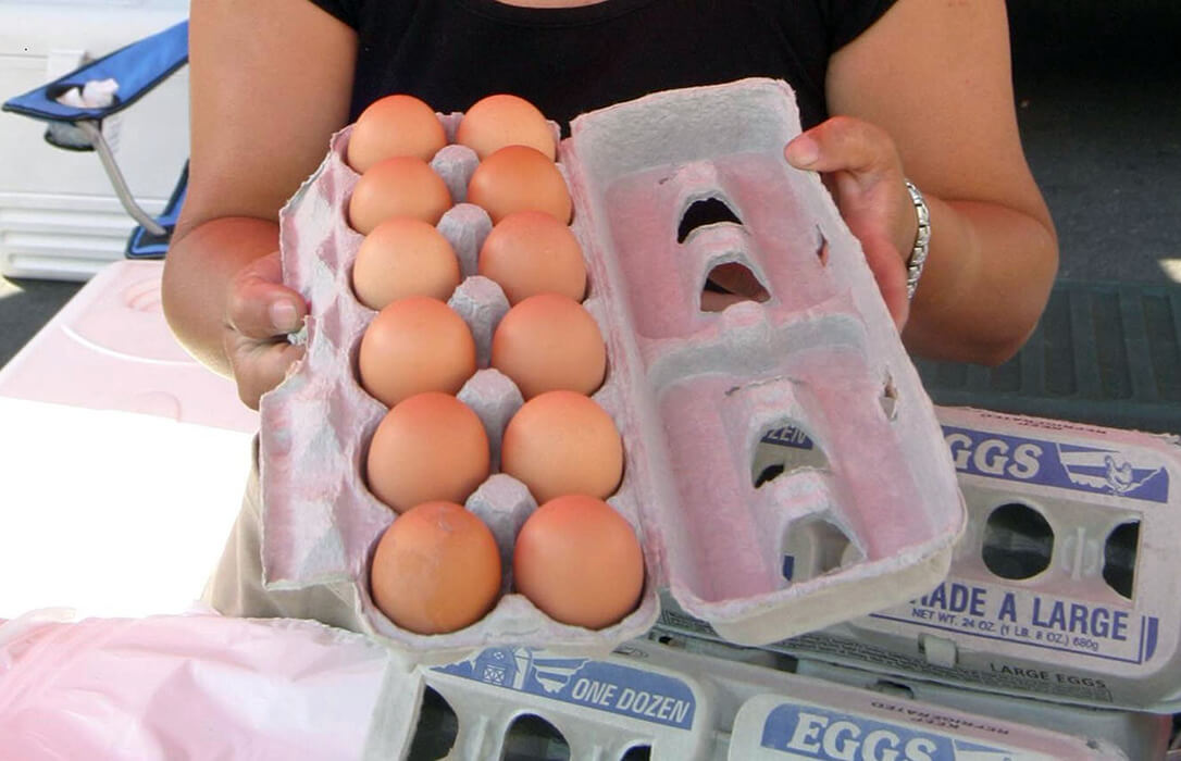 Gripe aviar: el sector llama a la tranquilidad y evitar movimientos especulativos ante la subida de precios de los huevos y la carne de pollo