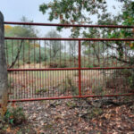 El número de hipotecas sobre fincas rústicas sube un 26,3% en septiembre en su tasa anual en un año con más compraventas