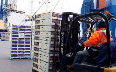 La Comisión Europea cambia su actitud sobre las plagas y acepta inspecciones en origen, no prohibir más materias sin alternativas y exigir reciprocidad