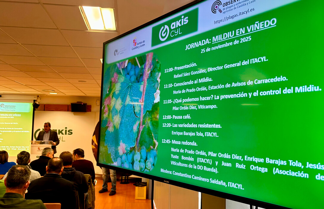 Castilla y León forma en prevención y tratamiento frente al mildiu a más de un centenar de profesionales del sector del vino de la Comunidad