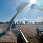 Barley consolide sa progression sur un marché intérieur atone, tandis que Chicago corrige son cours après l'accord sino-américain.