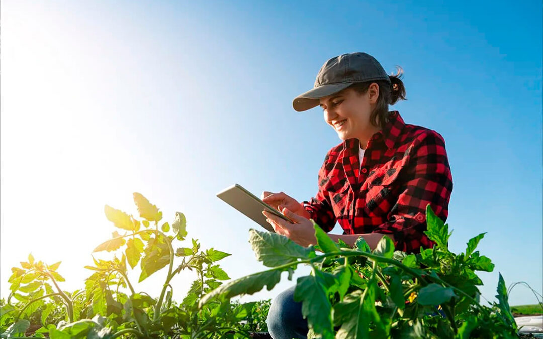 Arranca la primera edición de EXPO SAGRIS, una convocatoria del sector agroalimentario como plataforma profesional y divulgativa del campo
